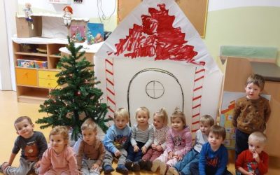 Žabice v decembru
