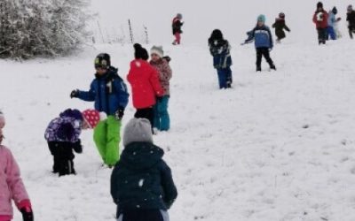 Pikapolone v januarju