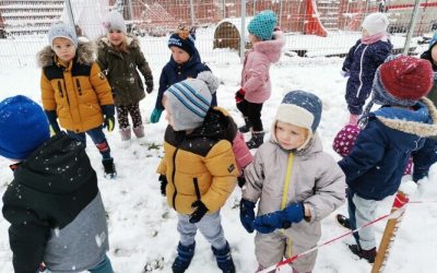 Čebelice v januarju