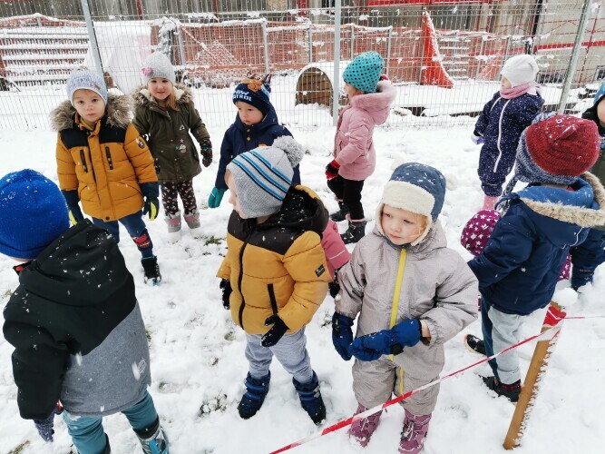 Čebelice v januarju