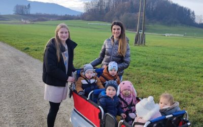 Muce v januarju