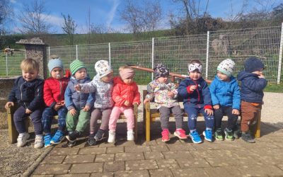 Muce v aprilu