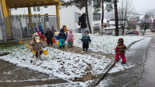 Miške v februarju