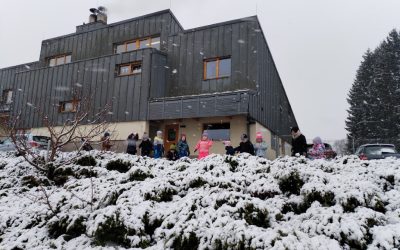 Čebelice v februarju