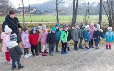 Pikapolone v februarju