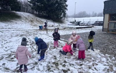 Račke v februarju