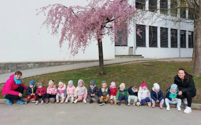 Muce v aprilu