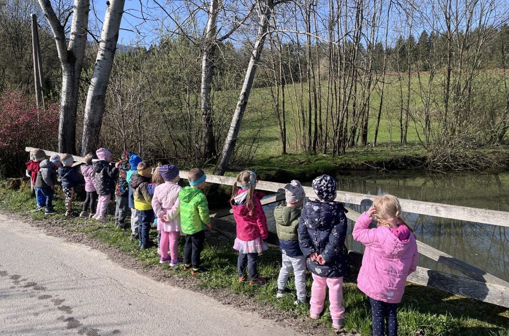 Račke v aprilu