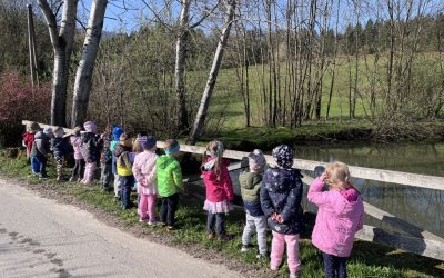 Račke v aprilu
