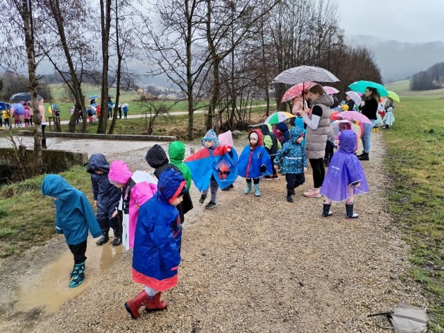 Čebelice v marcu